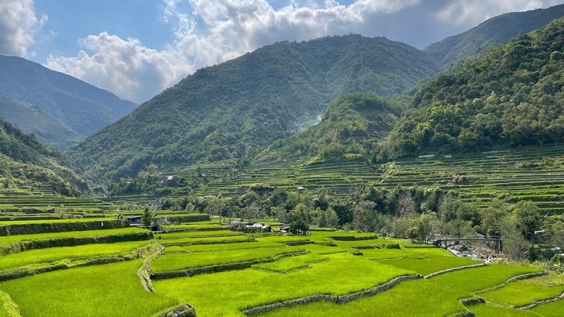 Banaue (Cordillera Rice Terraces)