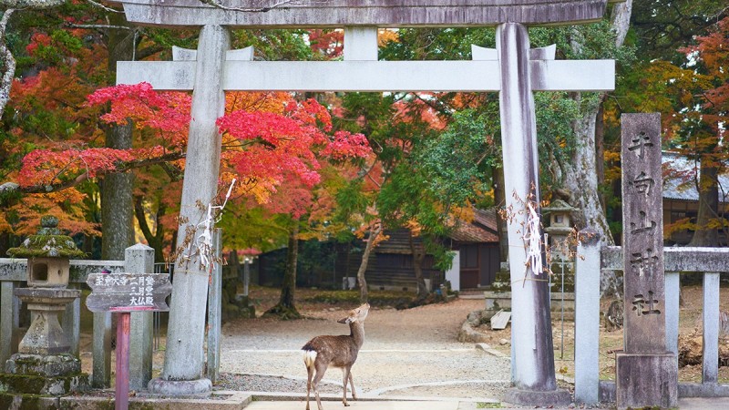 Nara