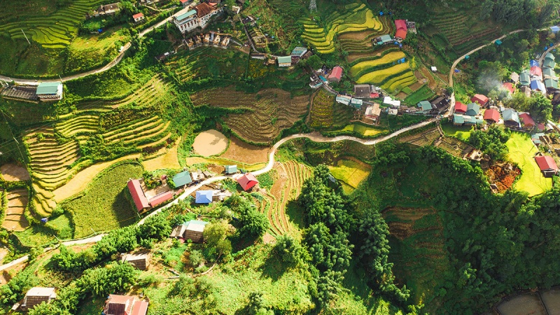 Sapa