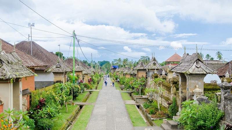 Taman Negara
