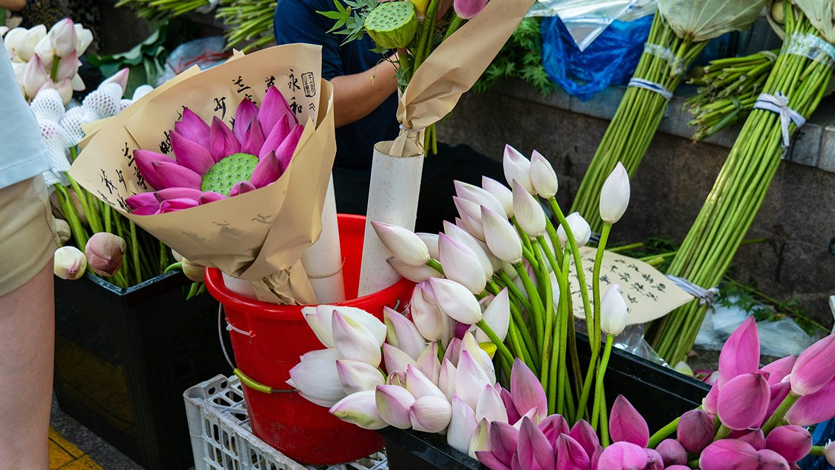 Taichung International Flower Fair